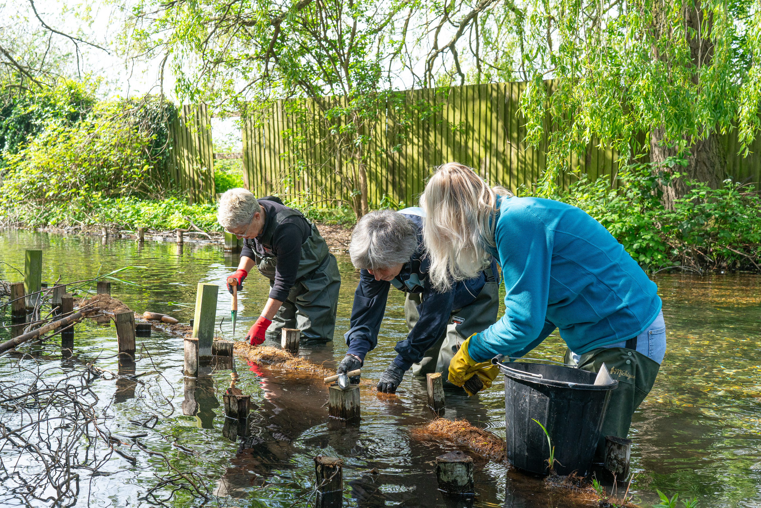 Update on the work in the Duck Pond